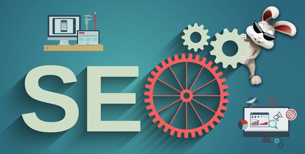 seo company in Delhi